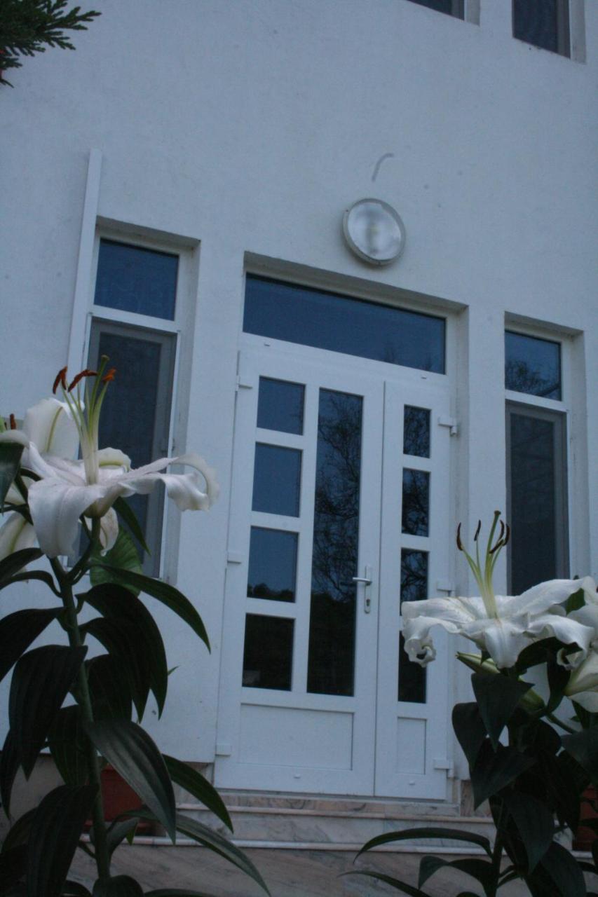 Manea Orsova Hotel Exterior foto